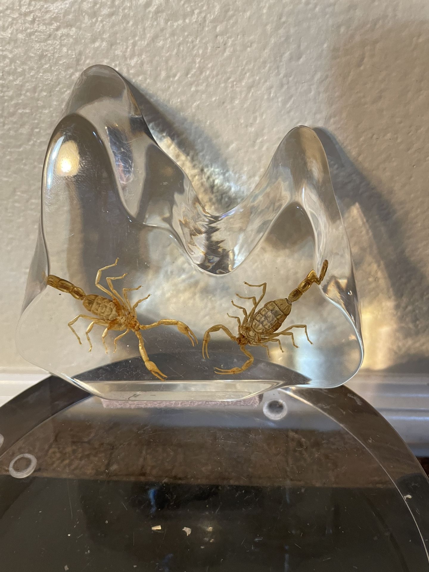 Two Scorpions in Clear Resin Paperweight