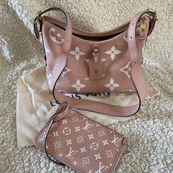 Louis Vuitton Carry All PM POUCH ONLY