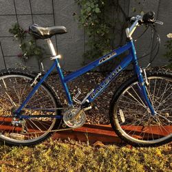 RALEIGH USA BICYCLE COMPANY M30 Mountain Trail 21-Speed Mountain Bike with NEW Tires-Cables-Chain-Seat, plus a FULL Tune-Up