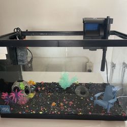 10 Gallon Fish Tank 