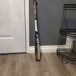 Baseball Bat