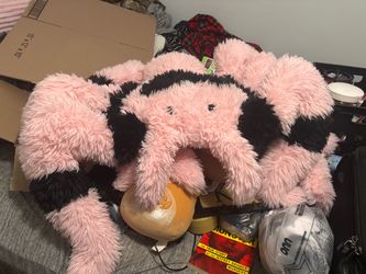 Popular pink tarantula