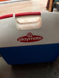 Igloo Playmate Cooler