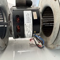 Blower Motor
