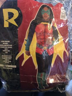 Robin Costume