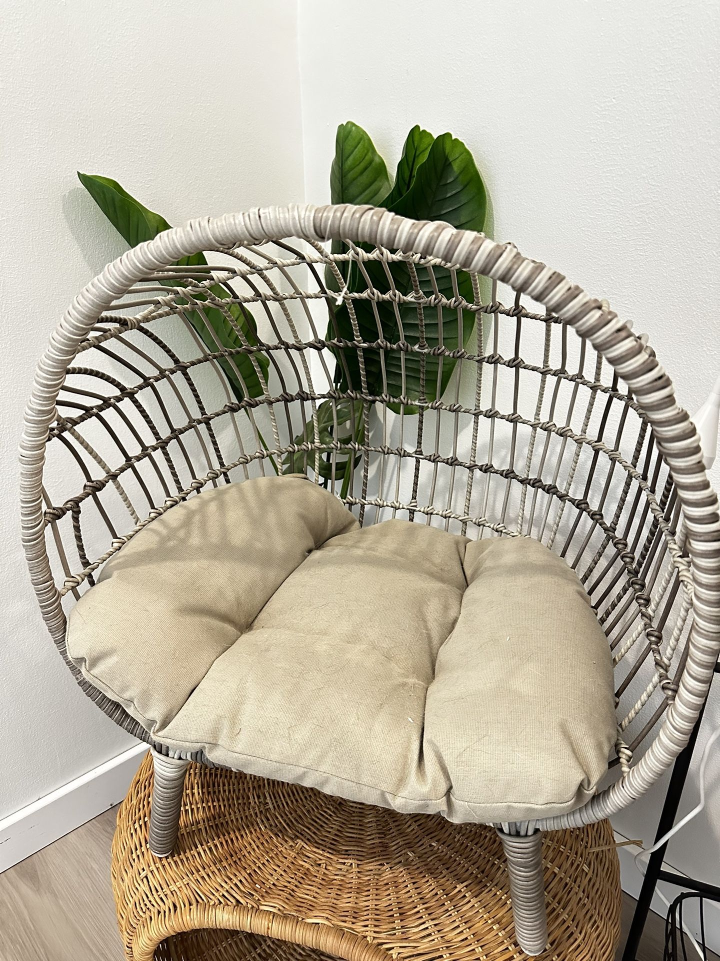 Courtry Style Cat Bed Small Dog Bed