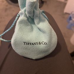 Tiffany & Co Apple Watch Band 