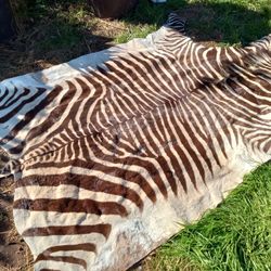 SOUTH AFRICAN ZEBRA RUG