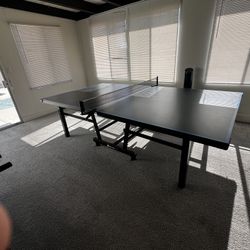 Ping Pong Table