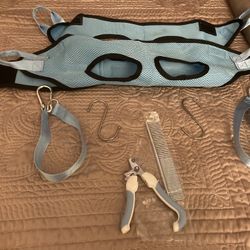 Cat nail trimming system 