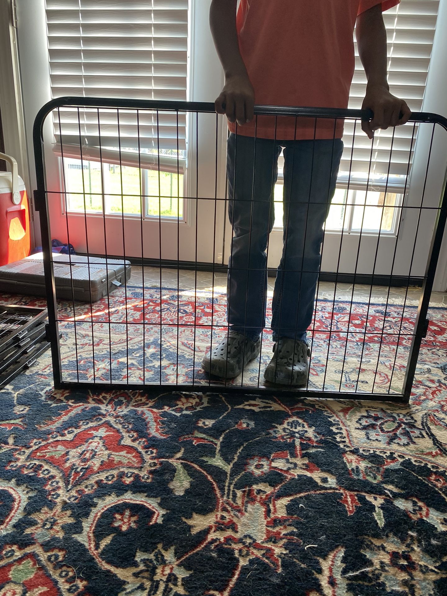 dog enclosure