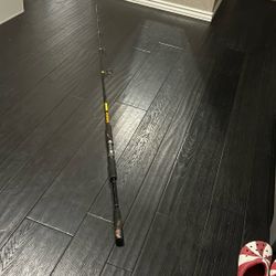 Nice catfish and pole very sturdy