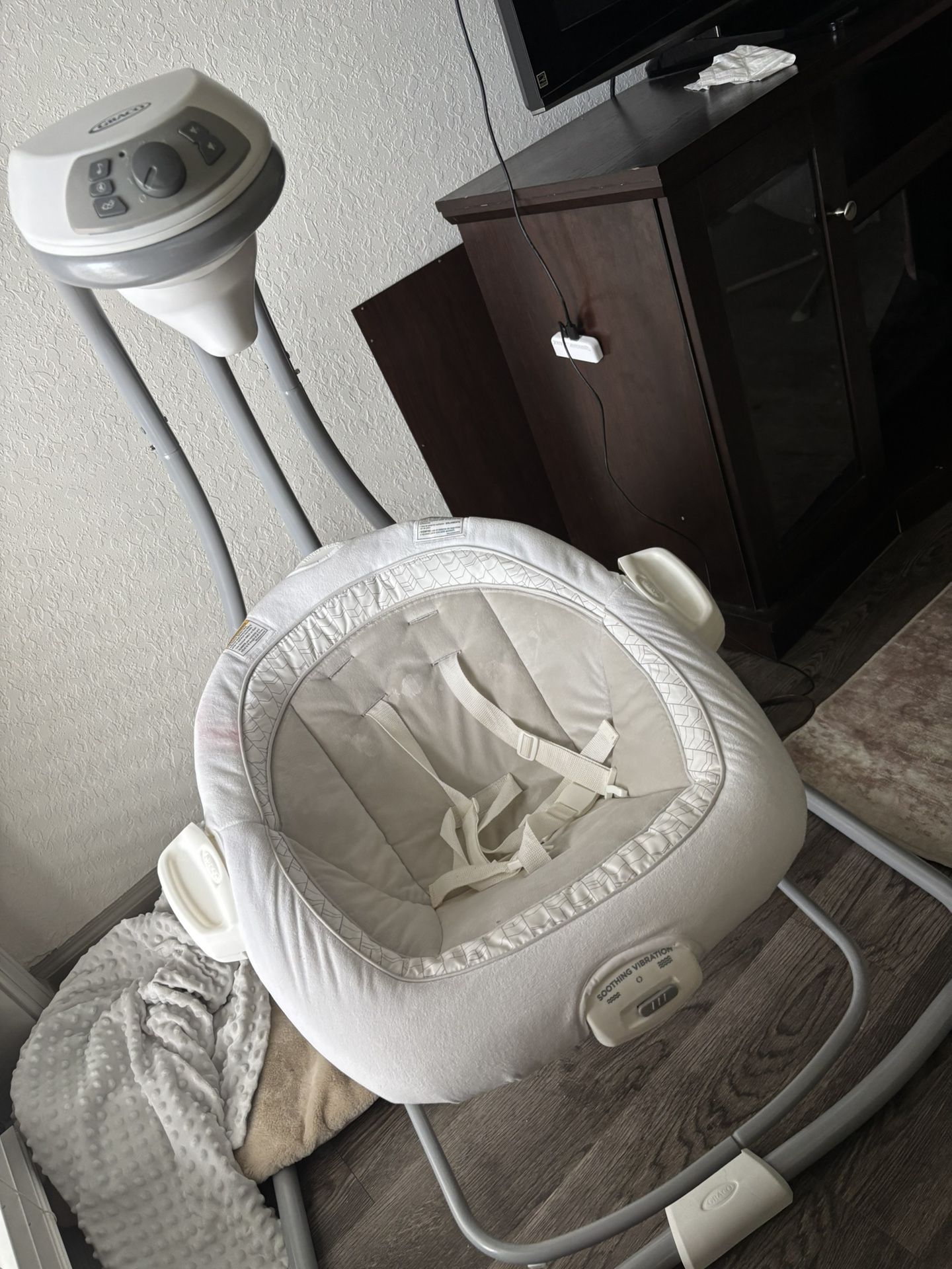 Graco Baby Swing 