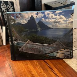 large photographic wall print/canvas