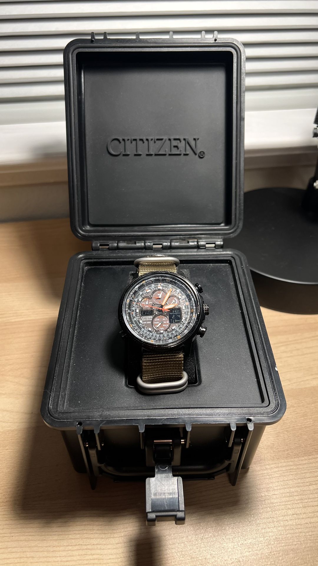 Citizen Promaster Watch