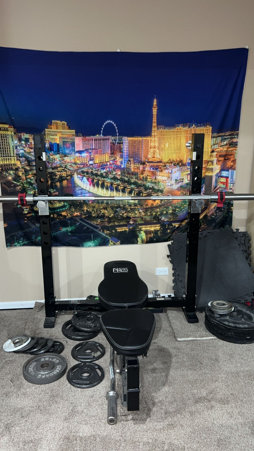 Bench/squat Rack With Weights