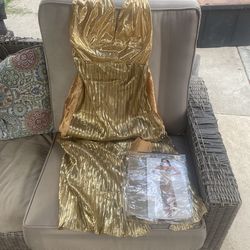 Golden Era Dress Costume