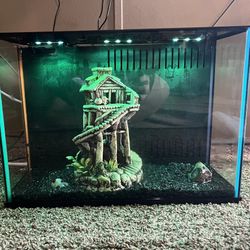 Four 5 Gallon Fish Tanks With Decorations