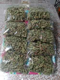 hojas de planta de árnica para te a $3 cada una