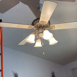 Very Nice Ceiling Fan. ( Everything Works)