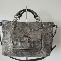 Coach Campbell Embossed Python Snakeskin