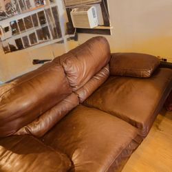 Comfy Couch Free