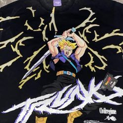 Dragonball Z civilregime