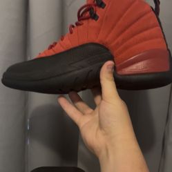 Jordan 12