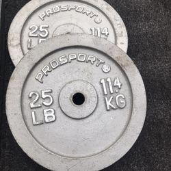 2-25lbs Standard Weight Plates 1inches