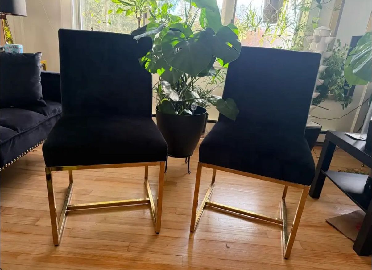 Black Velvet Chairs