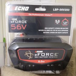 ECHO 56V High-Capacity Battery