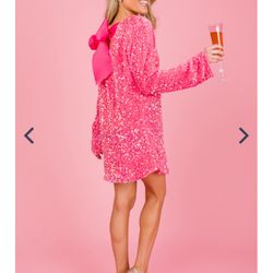 Sequin Velvet Bow Frock, P ink