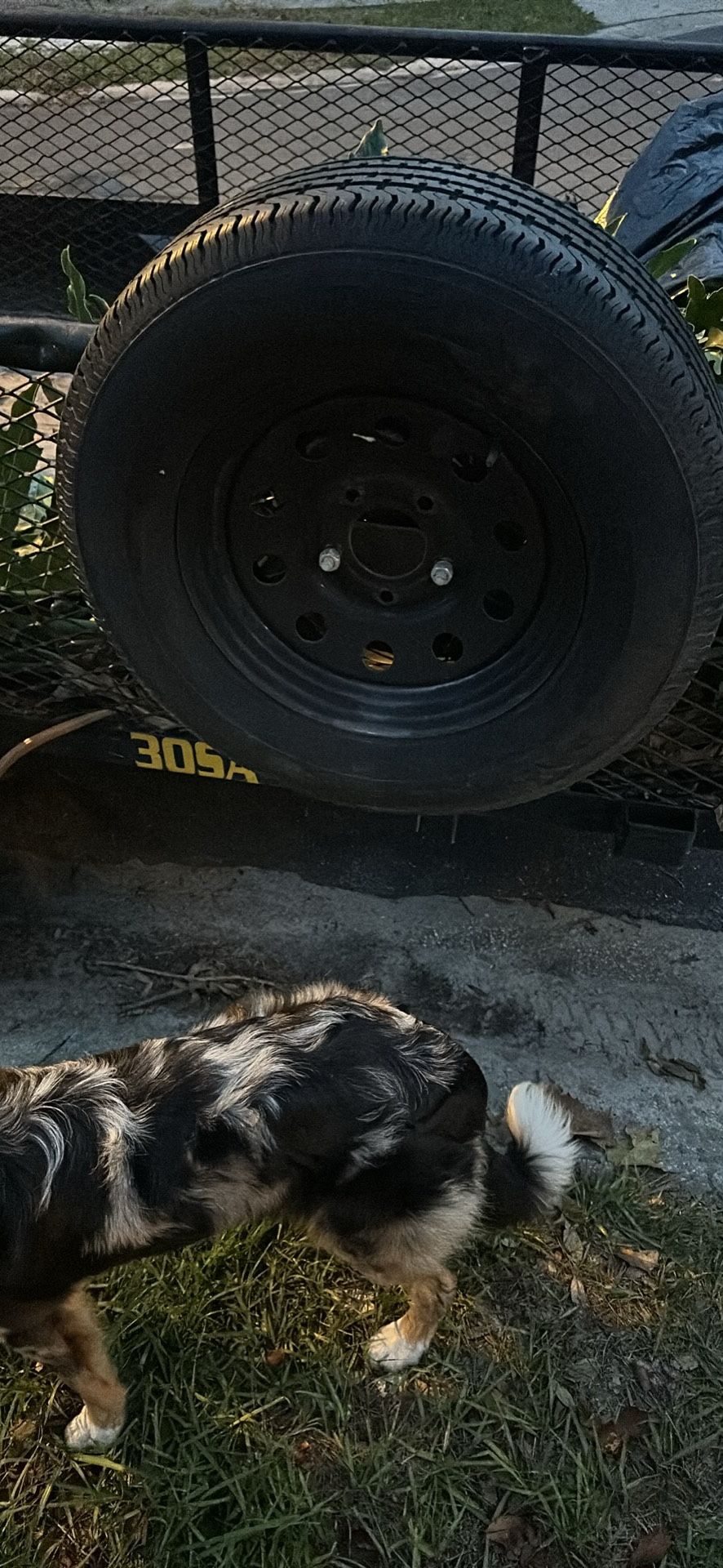 Trailer & Toro Time Master For Sale