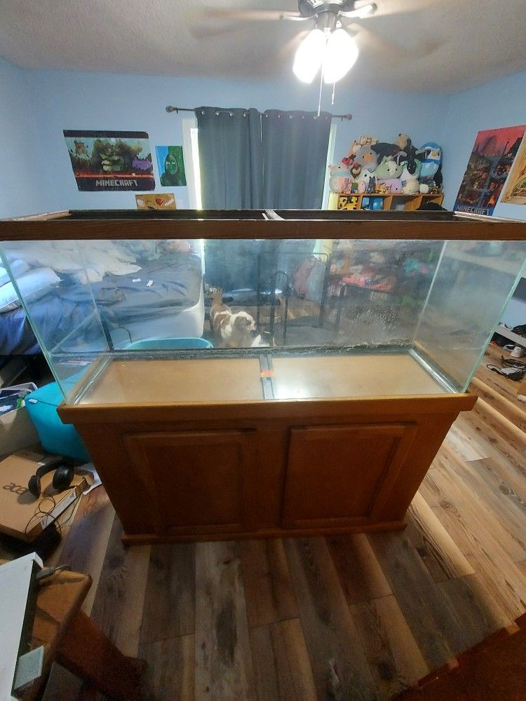 55 Gallon Tank With Stand!