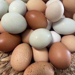Fresh Eggs 