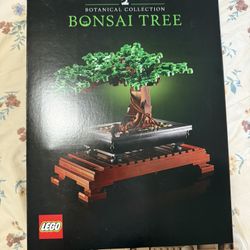 Bonsai Tree