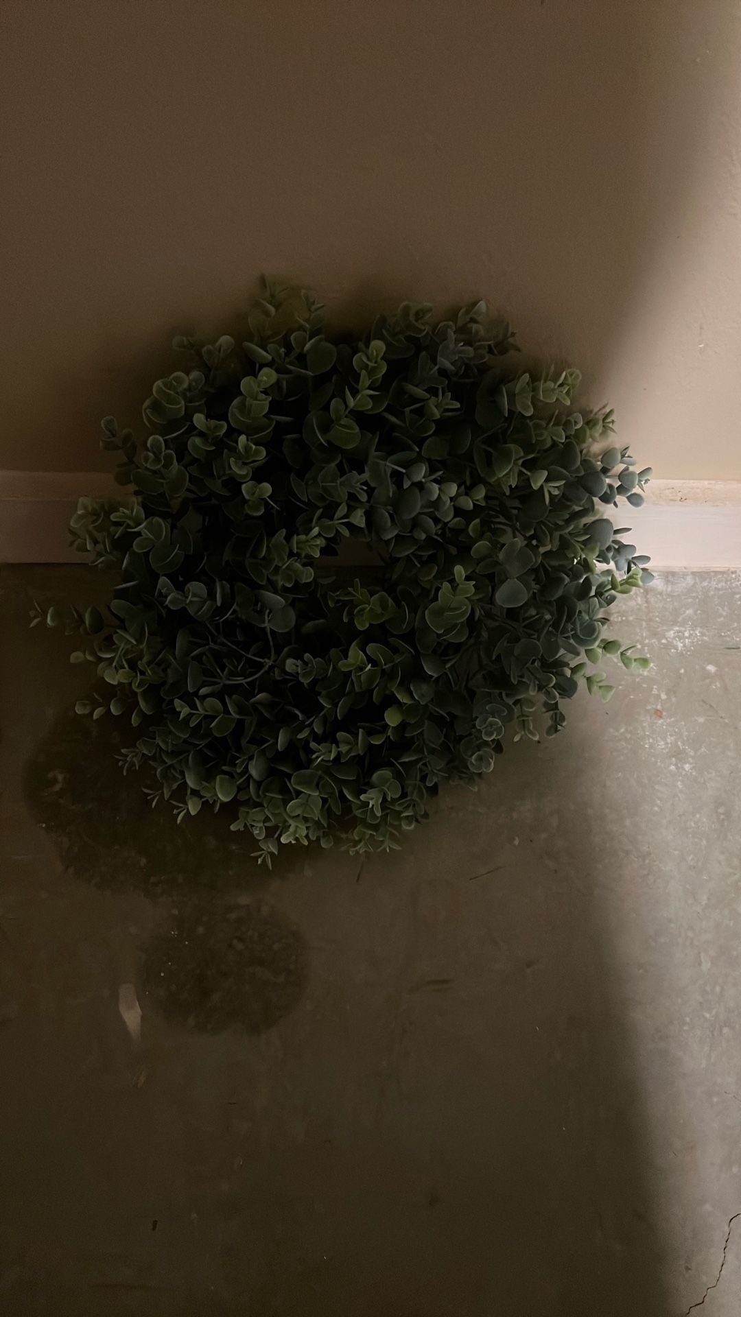Eucalyptus Wreath