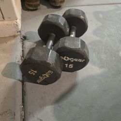 15 Lbs Dumbbells
