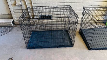 Large dog kennel I have two