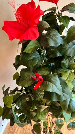 Artificial Hibiscus