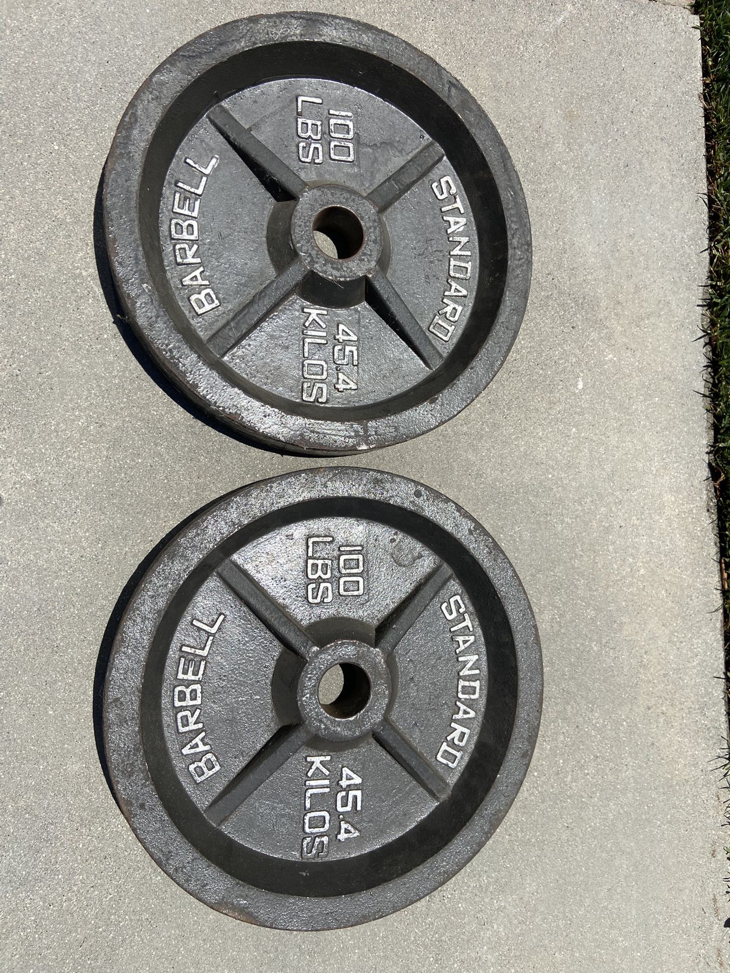 Standard Barbell 100lbs Plates