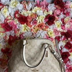 COACH Bag/Crossbody Bag
