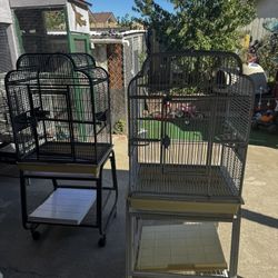 Bird Cages