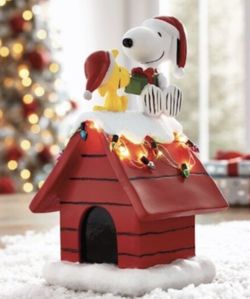 Snoopy's Dog House 