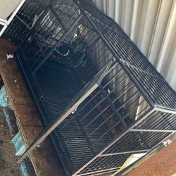 Metal Kennel 