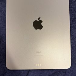 Apple iPad
