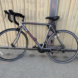 WELLINGTON TON 3:0 Bike