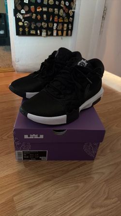 LeBron witness VIII