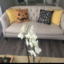 Potterbarn White Couch 