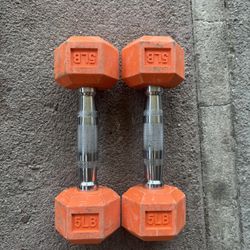 5lb Dumbbell Pair